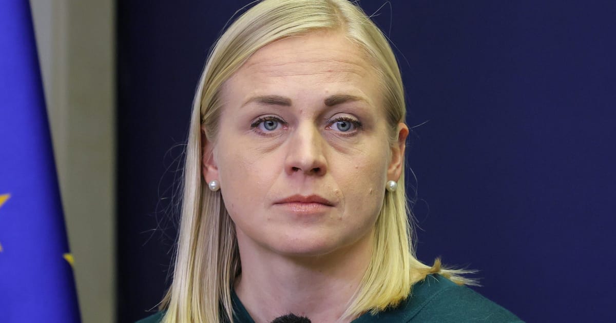 Georgia fines Finnish foreign minister for ‘blocking the road’ during protest – POLITICO