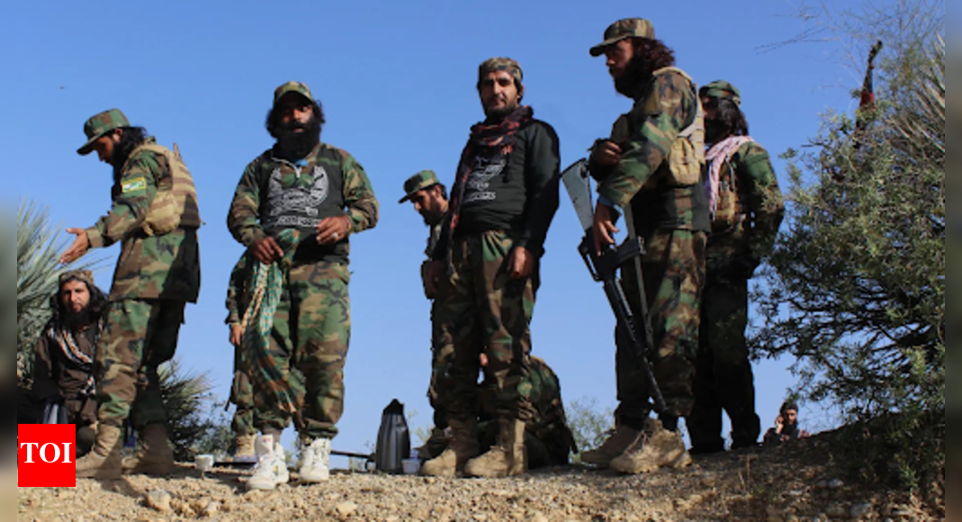 Pakistan, Afghanistan declare 48-hour ceasefire: Dozens killed in border clashes – who asked for truce first?