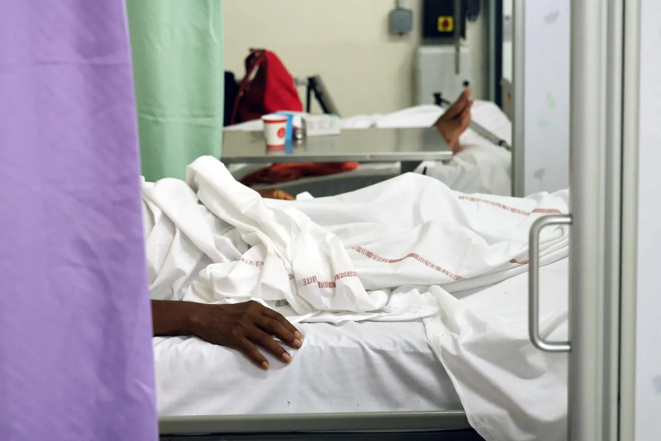 First Locally-Acquired Case Of Chikungunya Virus Reported In New York