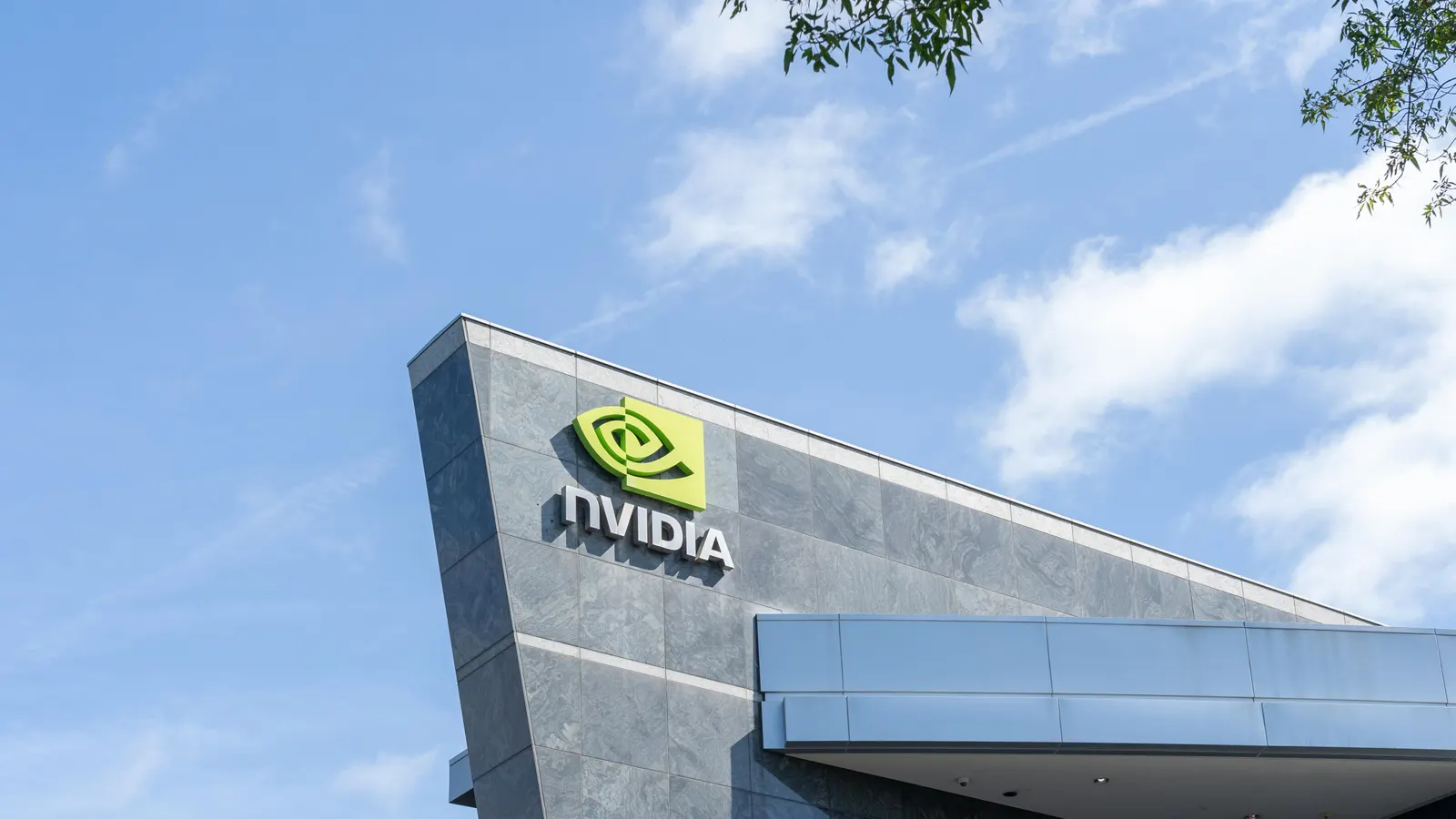 What Nvidia Can Teach Doctors About Strategy, Survival