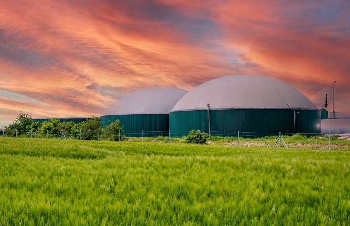 The Gals Agro agricultural holding already produces over 15 MW and views bioenergy as its strategic focus.