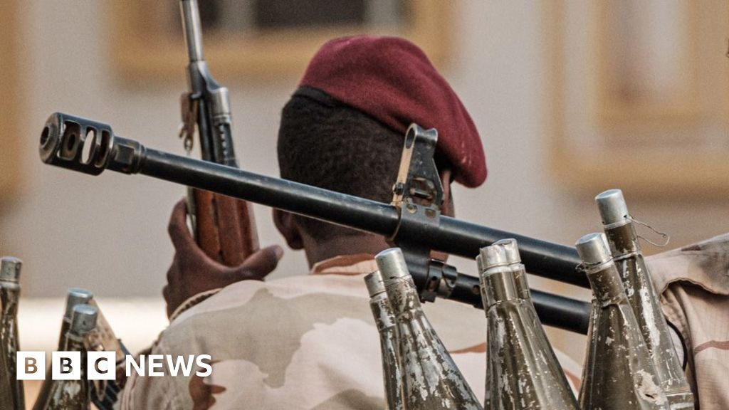 RSF militia killed 460 people at el-Fasher hospital, says WHO