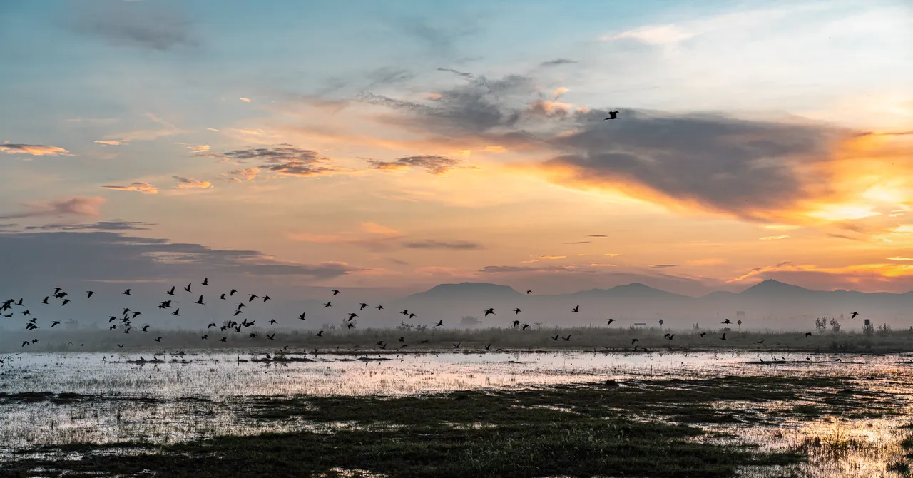 Rainfall Buries a Mega-Airport in Mexico