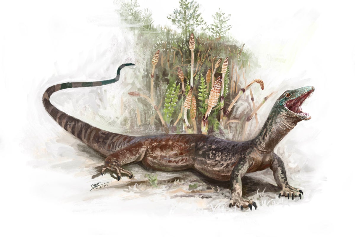 Fossil reveals new species of ancient Jurassic reptile which roamed Scotland