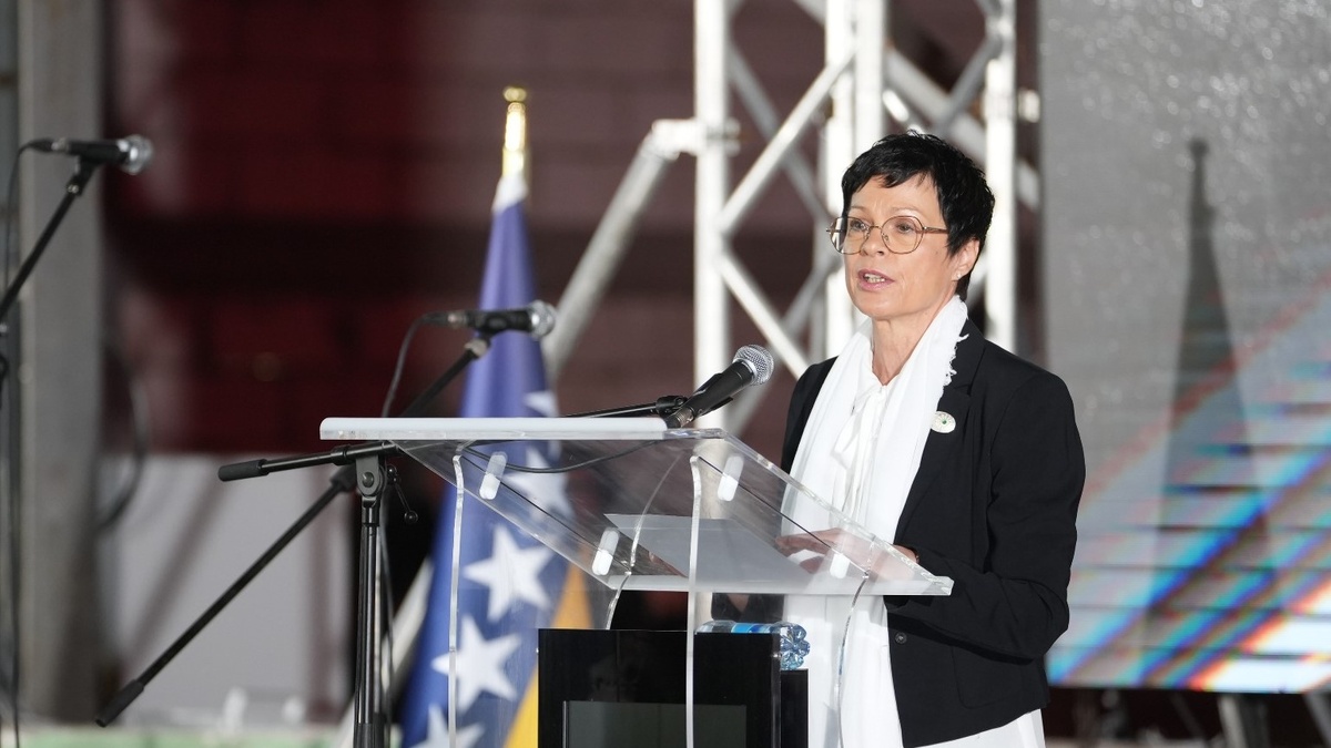 Ukraine should not wait for ‘green light’ from Orban to move forward with reforms