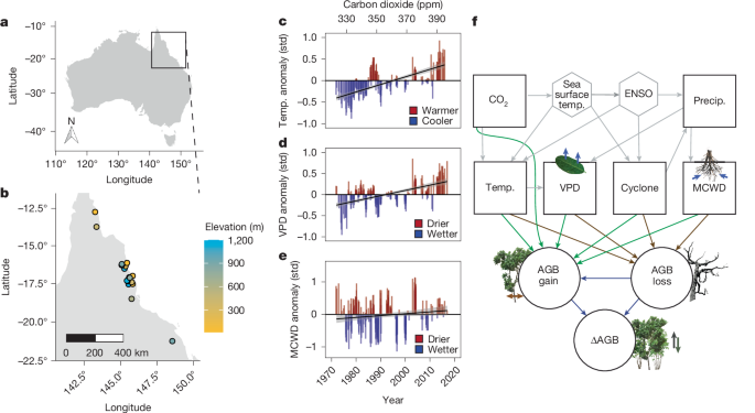 Aboveground biomass in Australian tropical forests now a net carbon source