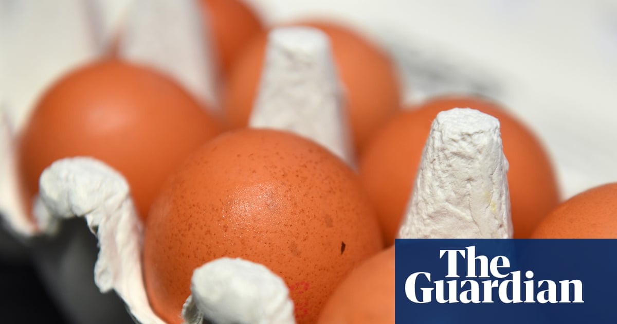 Warnings of imports of caged hen eggs as Ukraine and Poland become UK’s biggest suppliers | Eggs