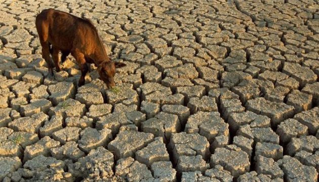 Crimean reservoirs at lowest water levels in recent years