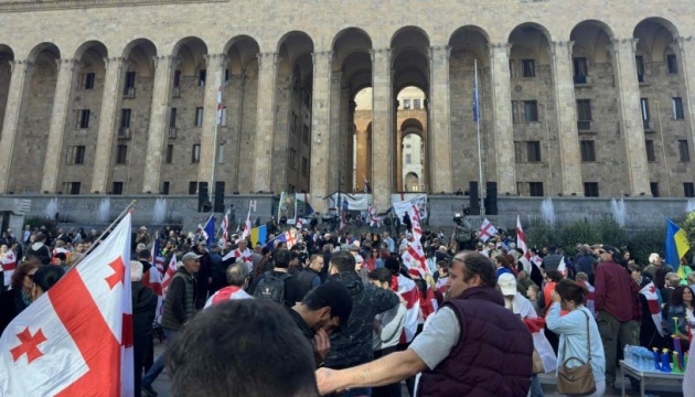 Protesters break into presidential palace courtyard in Tbilisi