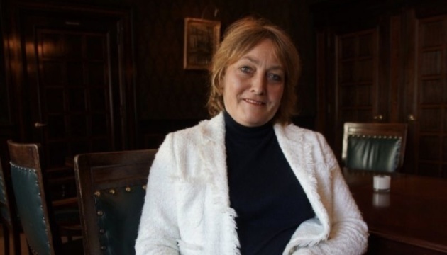 Dutch expert outlines conditions under which Ukraine could receive Russia’s frozen assets