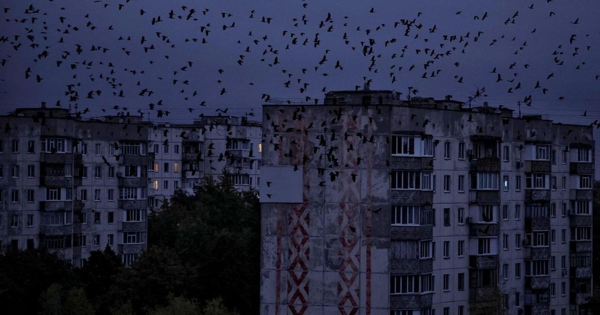 Swarms of Russian drones plunge parts of Ukraine into darkness, as Zelensky turns to Europe again | News