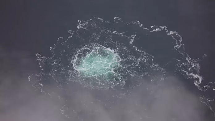 Polish court considers extradition to Germany of suspect in Nord Stream pipeline attack