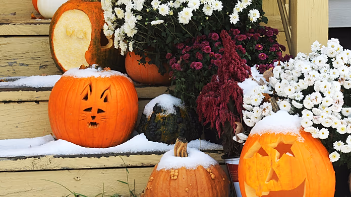 Detroit haunted house keeps tally of visitors who flee in fear