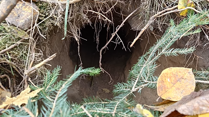 Poland not an isolated case: What to know about secret migrant tunnel systems