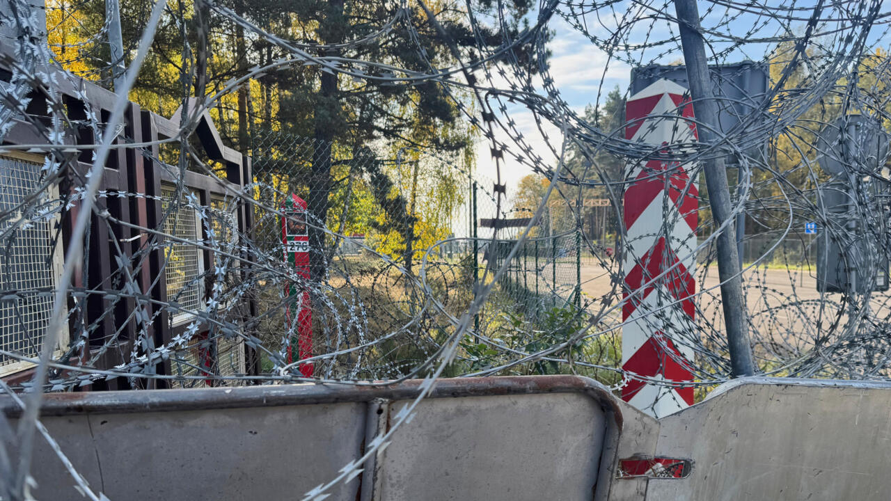 Bialowieza Forest at threat from military tensions along the Poland-Belarus border