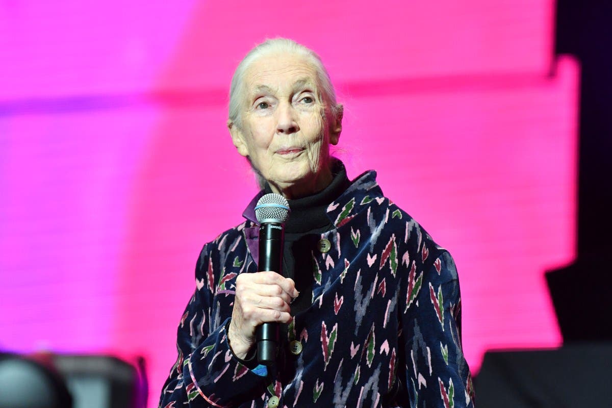 Jane Goodall’s Official Cause of Death Revealed