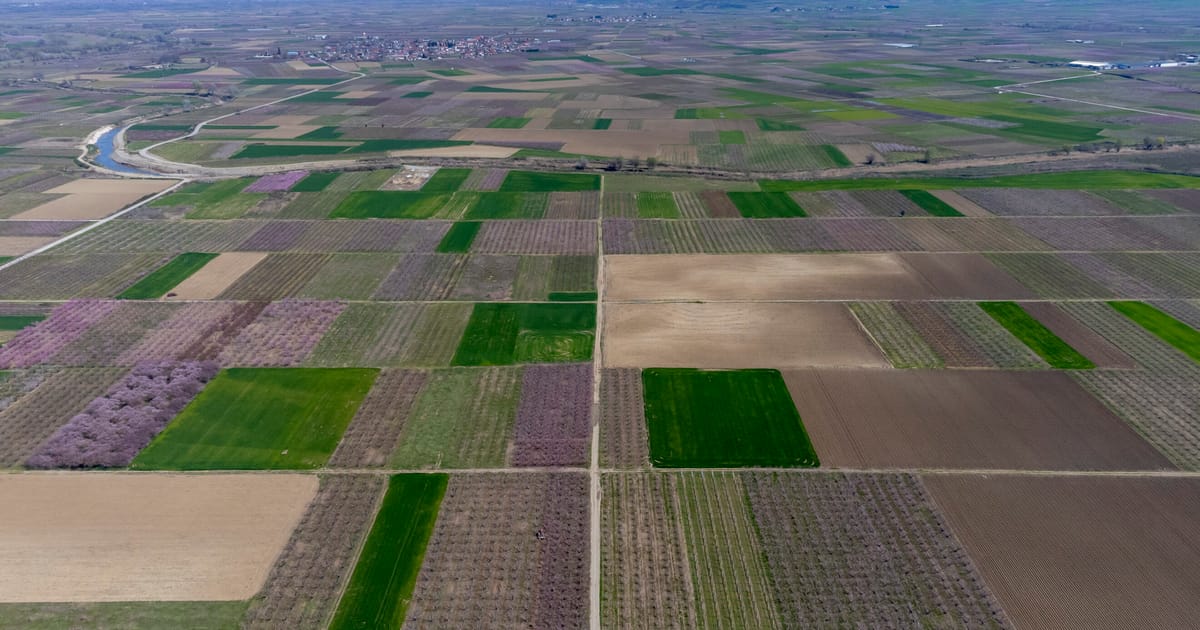 Dozens arrested over Greece’s farm fraud scandal – POLITICO