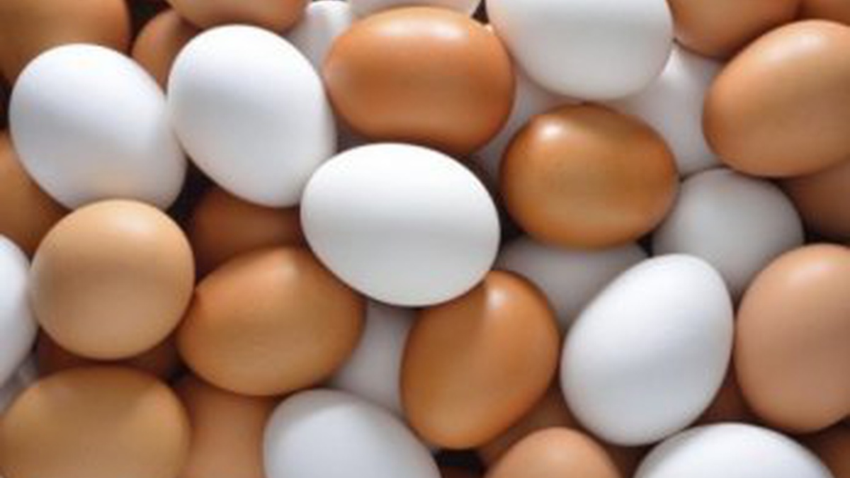 Ukraine has become UK’s leading chicken egg supplier in 2025, local farmers concerned