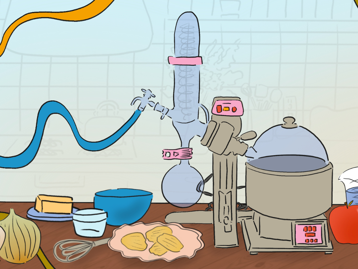 Think you understand kitchen science? — Harvard Gazette