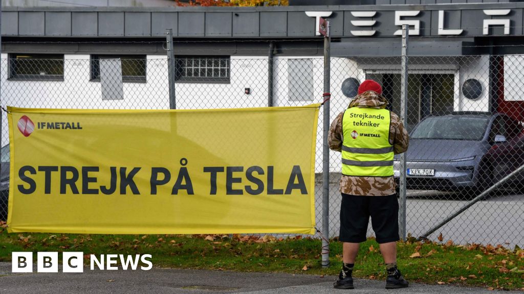 The striking Swedish workers taking on carmaker Tesla