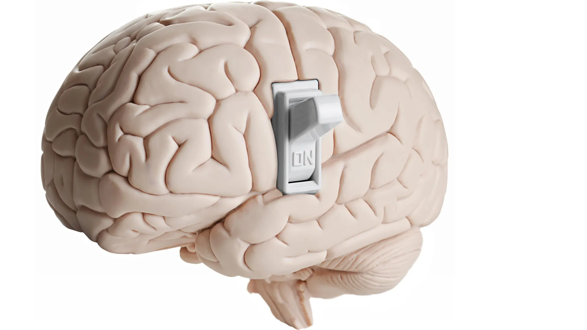 Scientists discover hidden protein that switches off hunger