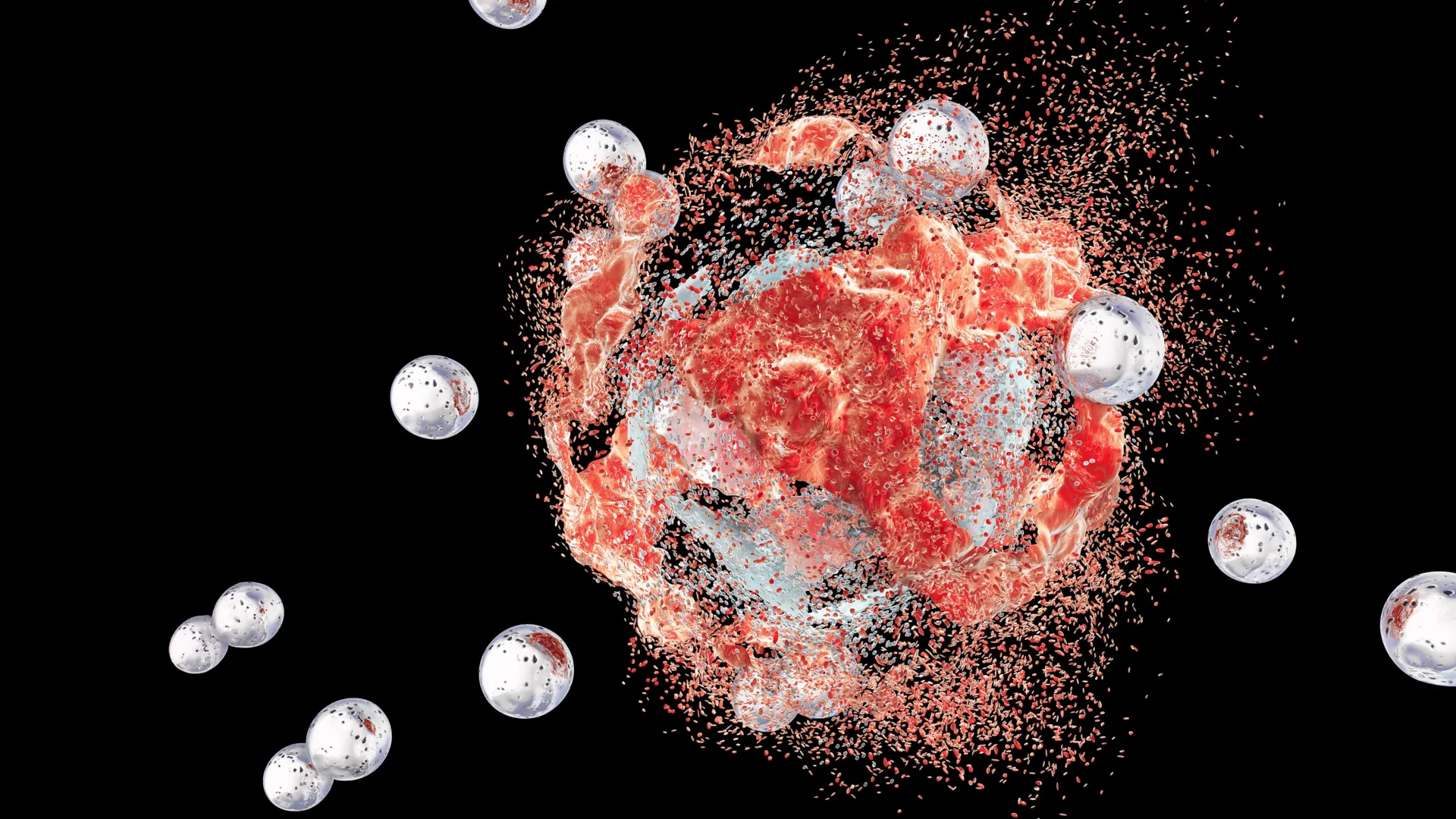 Bacteria hidden inside tumors could help beat cancer