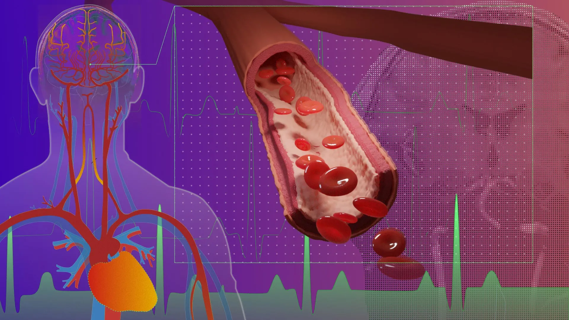 Scientists find the brain’s hidden pulse that may predict Alzheimer’s