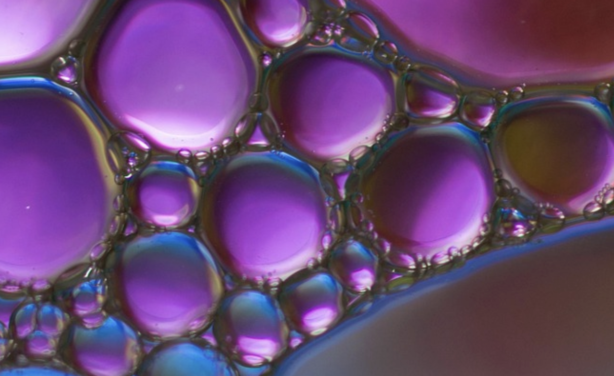 A Cysteine-Rich Diet is Shown to Boost Intestinal Regeneration