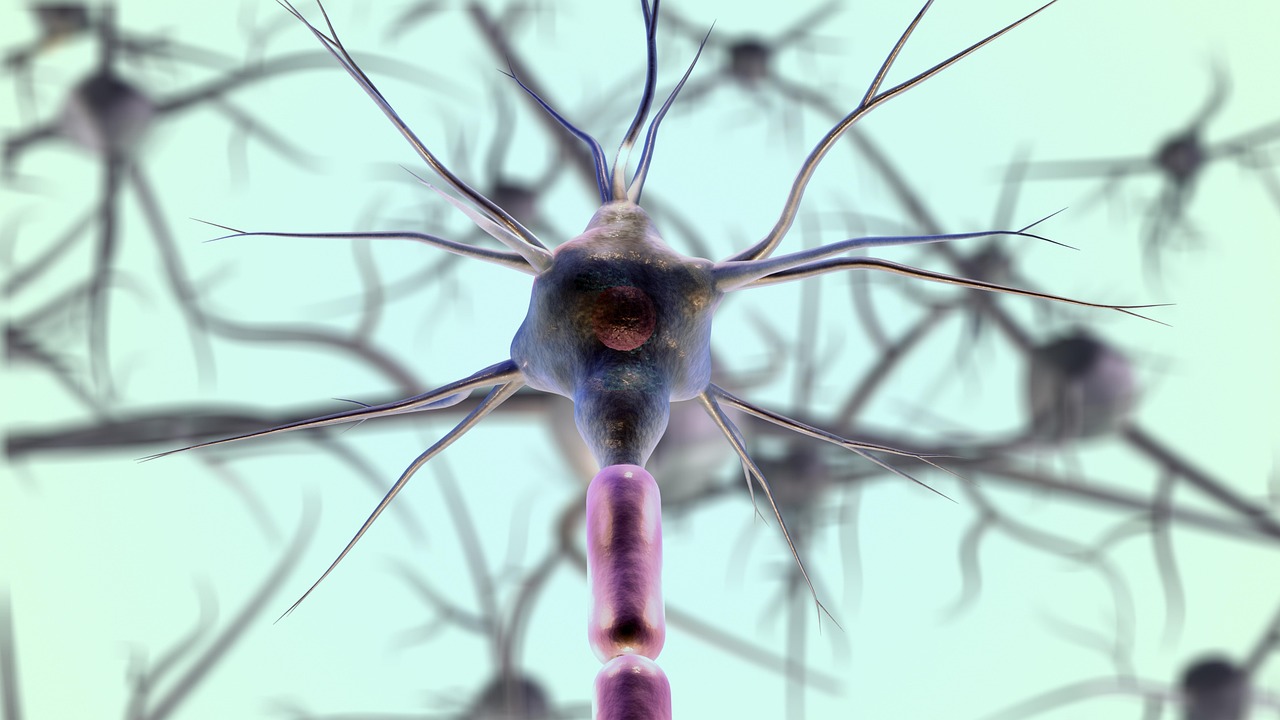 Researchers Reveal Autoimmune Response in Patients with ALS