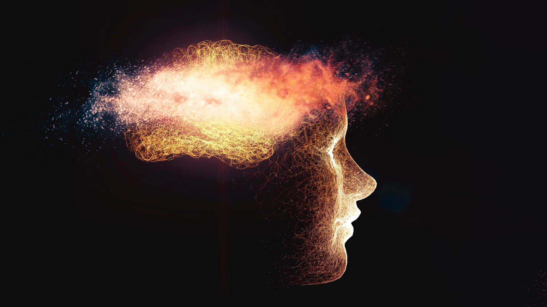 Fat may secretly fuel Alzheimer’s, new research finds