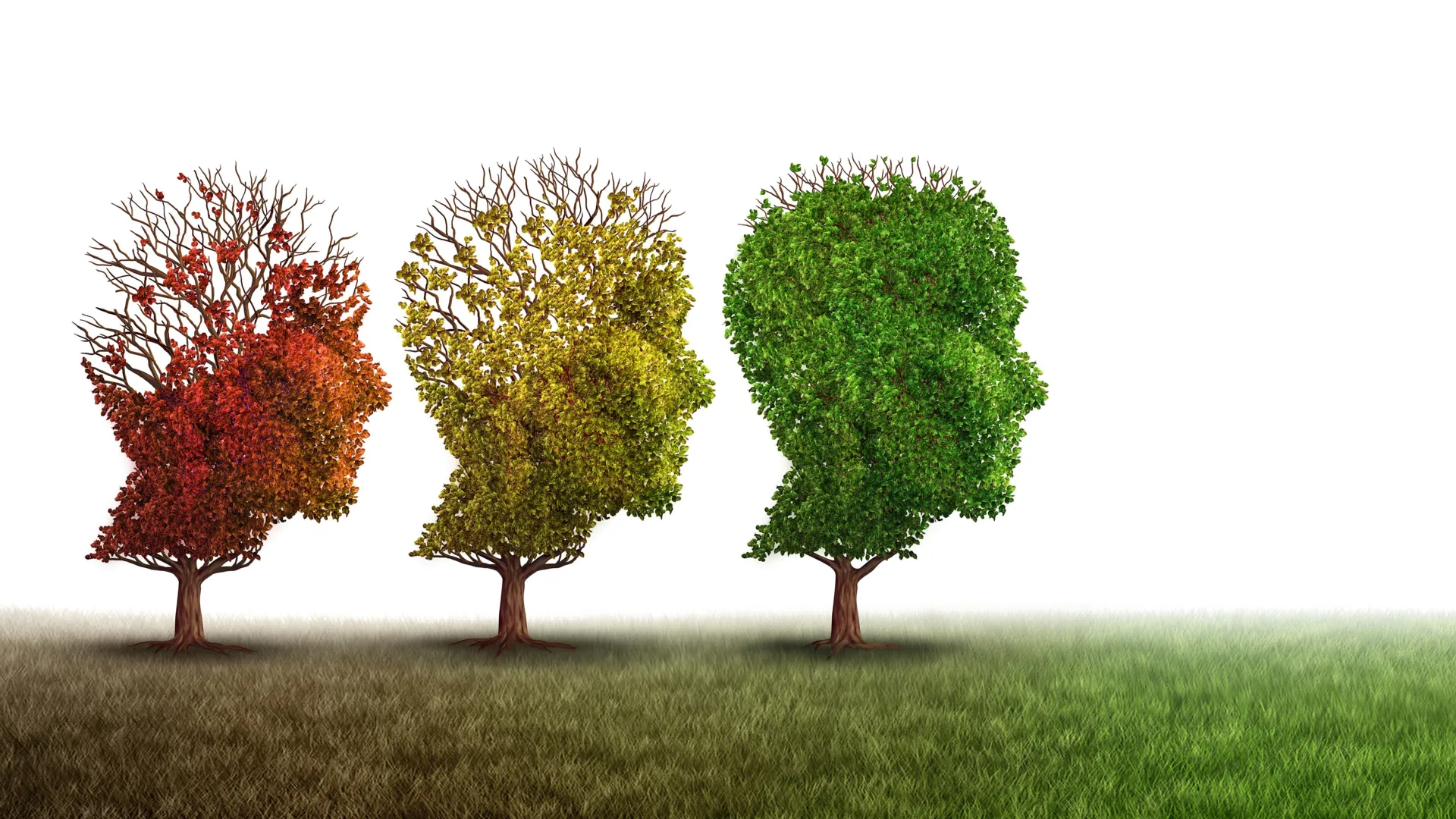 Scientists reversed brain aging and memory loss in mice