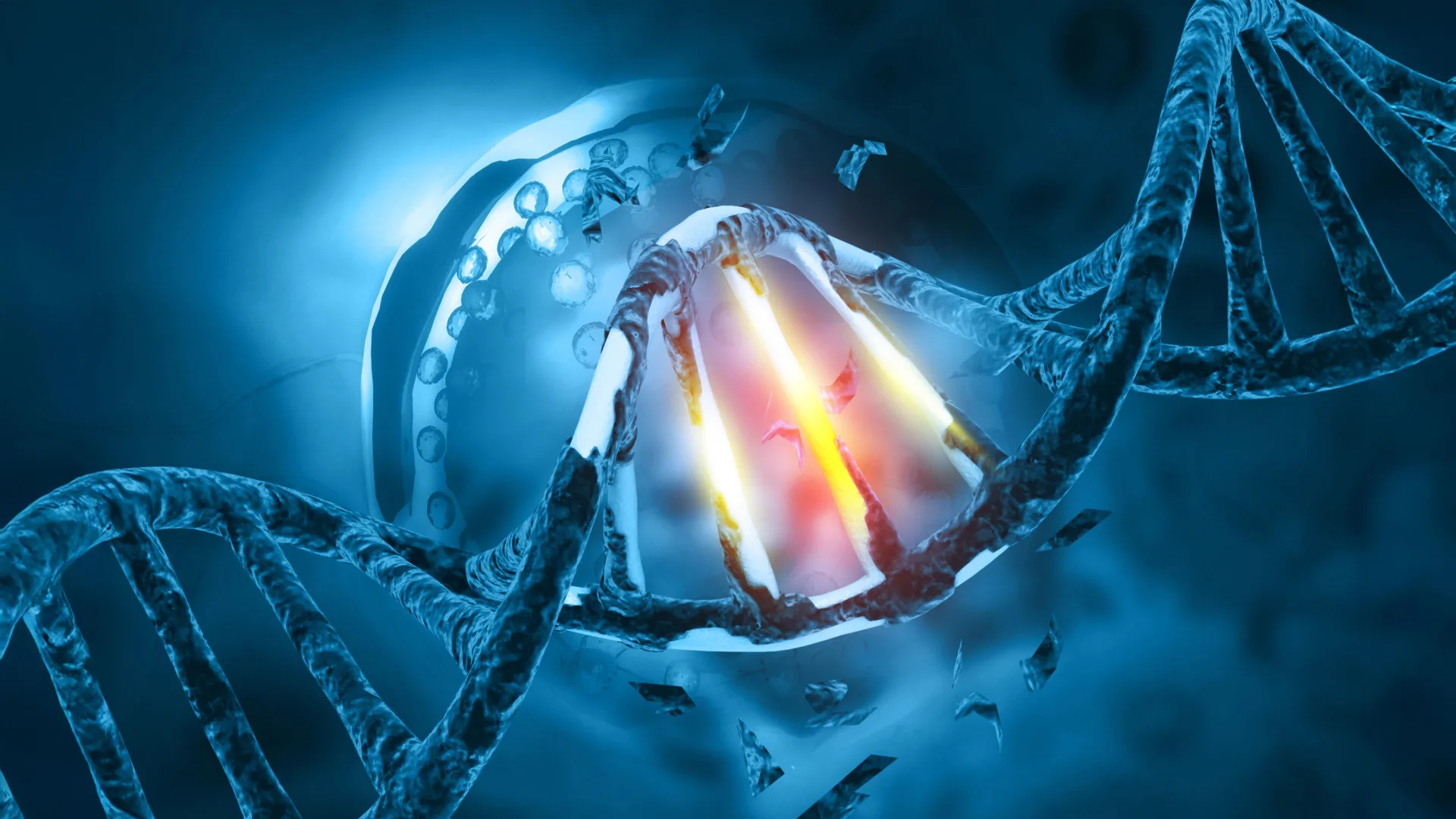 The hidden evolution making men’s sperm more dangerous with age