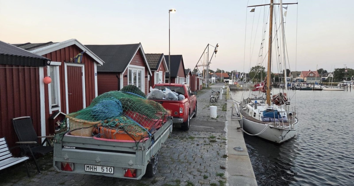 On Ukraine’s Front Lines, Swedish Fishing Nets Are Saving Lives