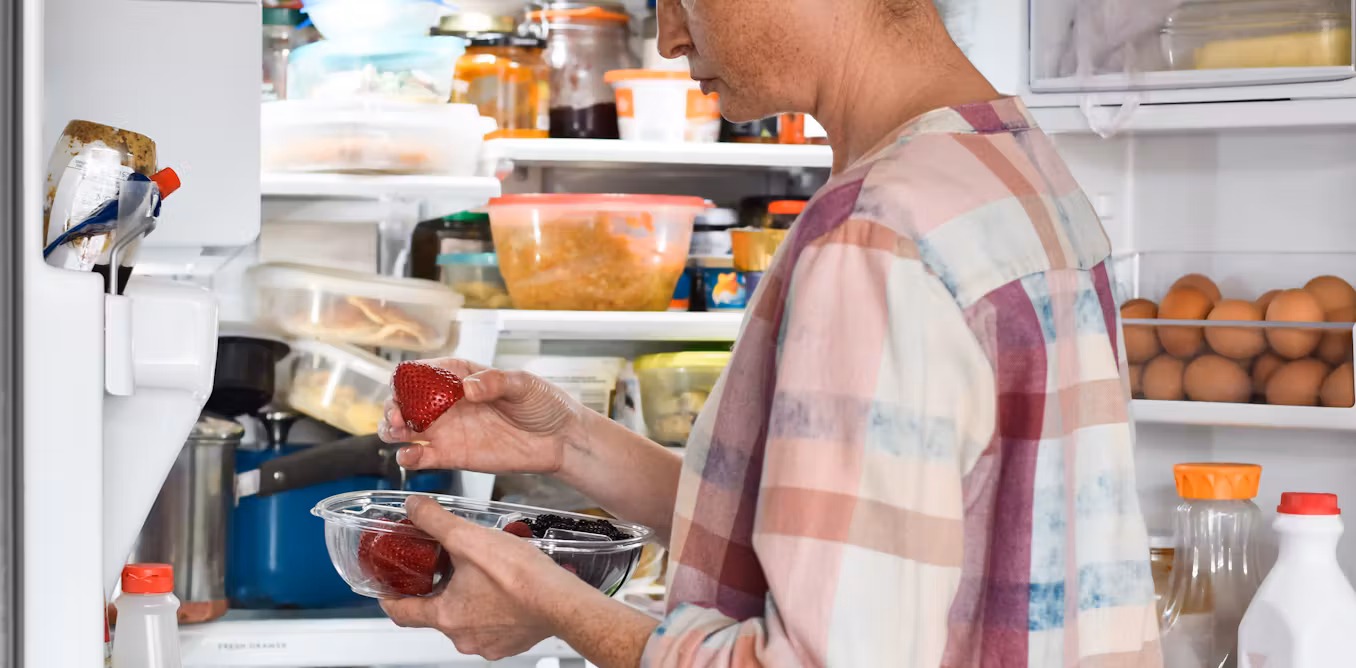 Why you can salvage moldy cheese but never spoiled meat − a toxicologist advises on what to watch out for