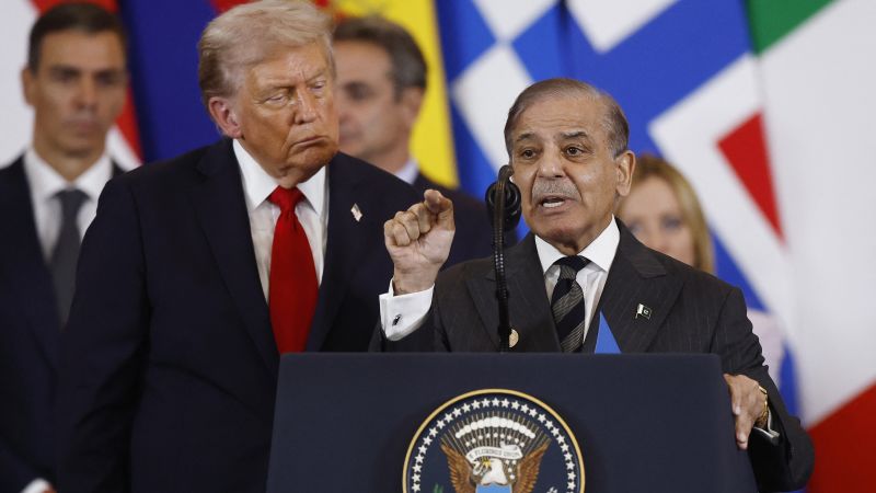 With rare earths, deft diplomacy (and ample flattery), Pakistan shows how to deal with Trump 2.0