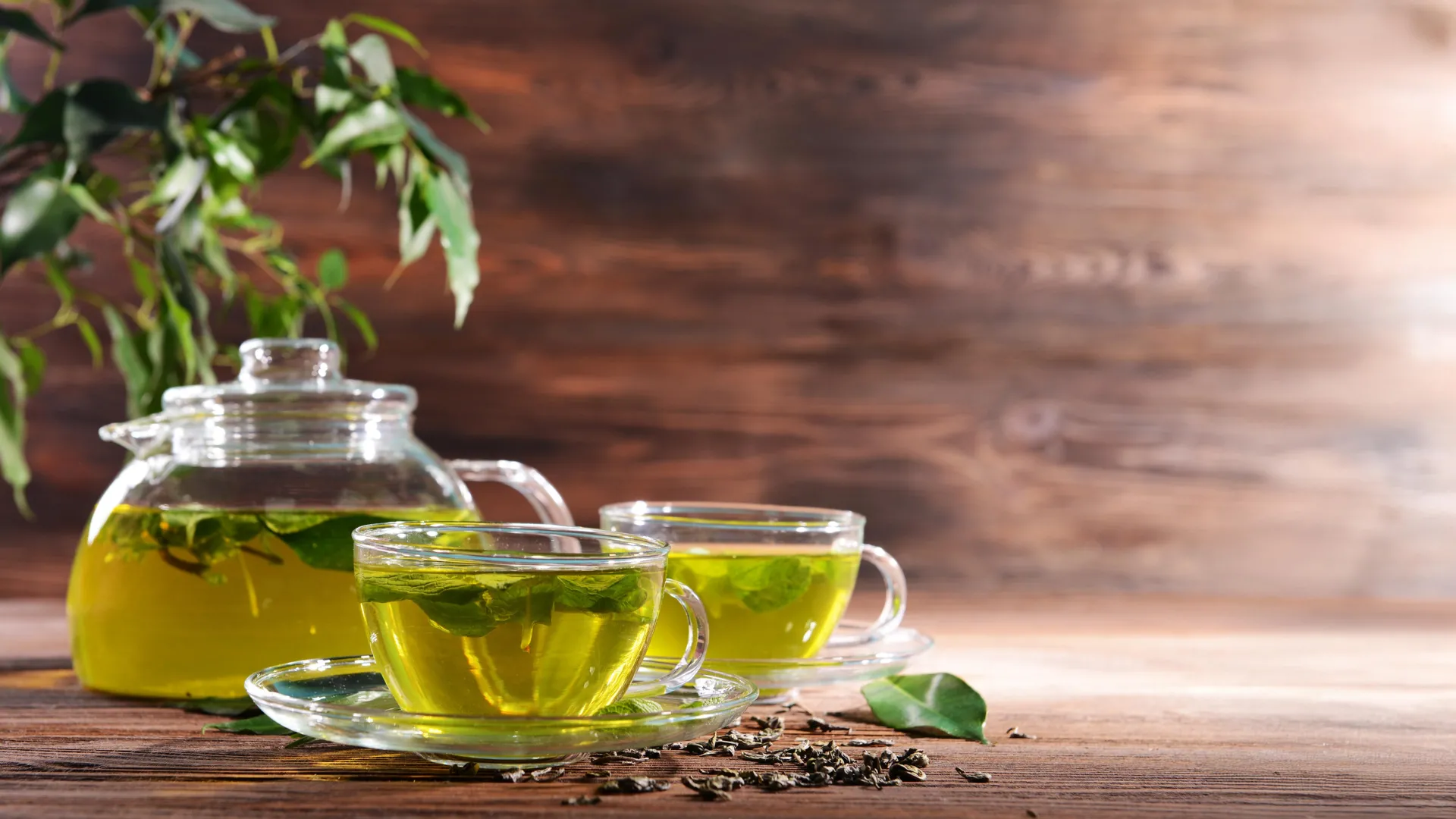 Scientists reveal green tea’s fat-burning secret