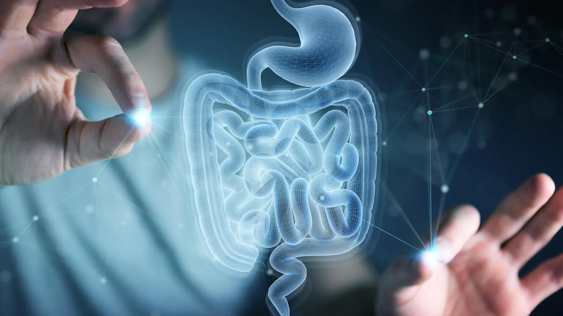 MIT discovers amino acid that helps the gut heal itself