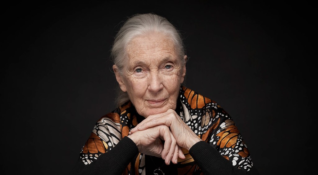 Jane Goodall’s Cause Of Death Revealed