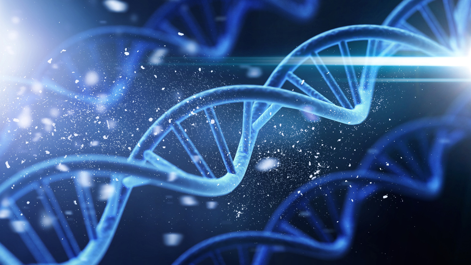 8 Fascinating DNA Discoveries About Famous Historical Figures