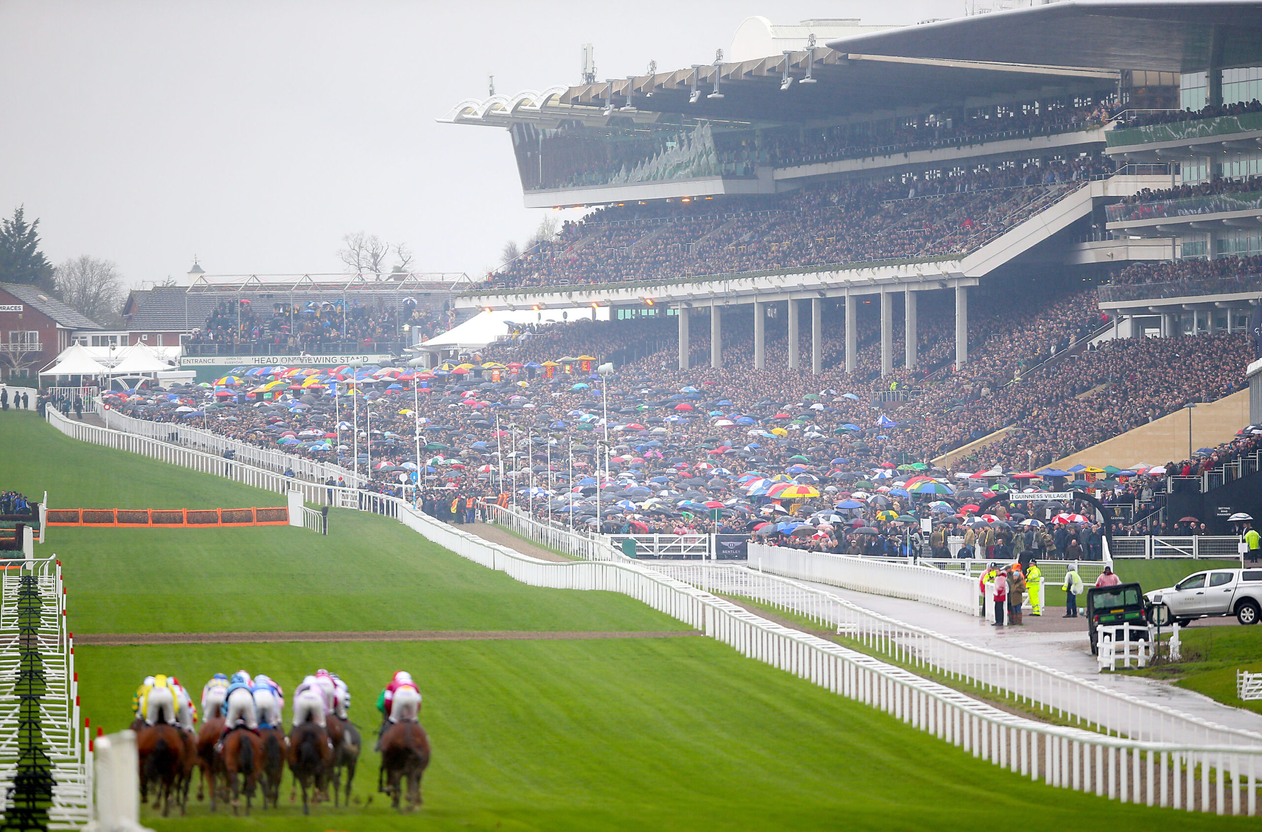 The horse racing season is starting in Ukraine: what to pay attention to