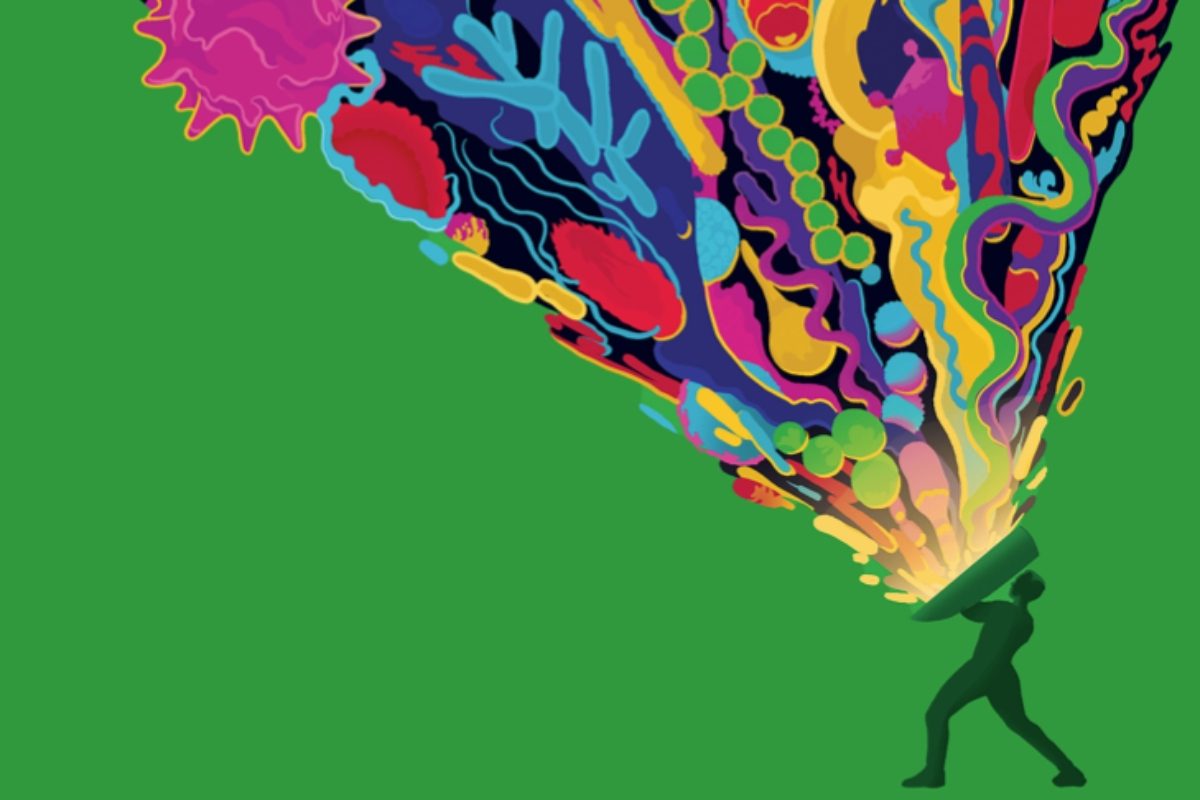 The immune system reboot: How to prime your body’s defences to slow ageing