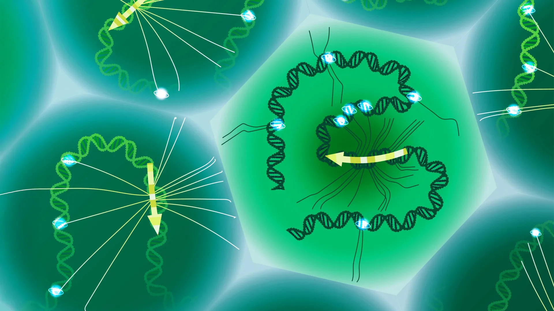 Scientists finally read the hidden DNA code that shapes disease