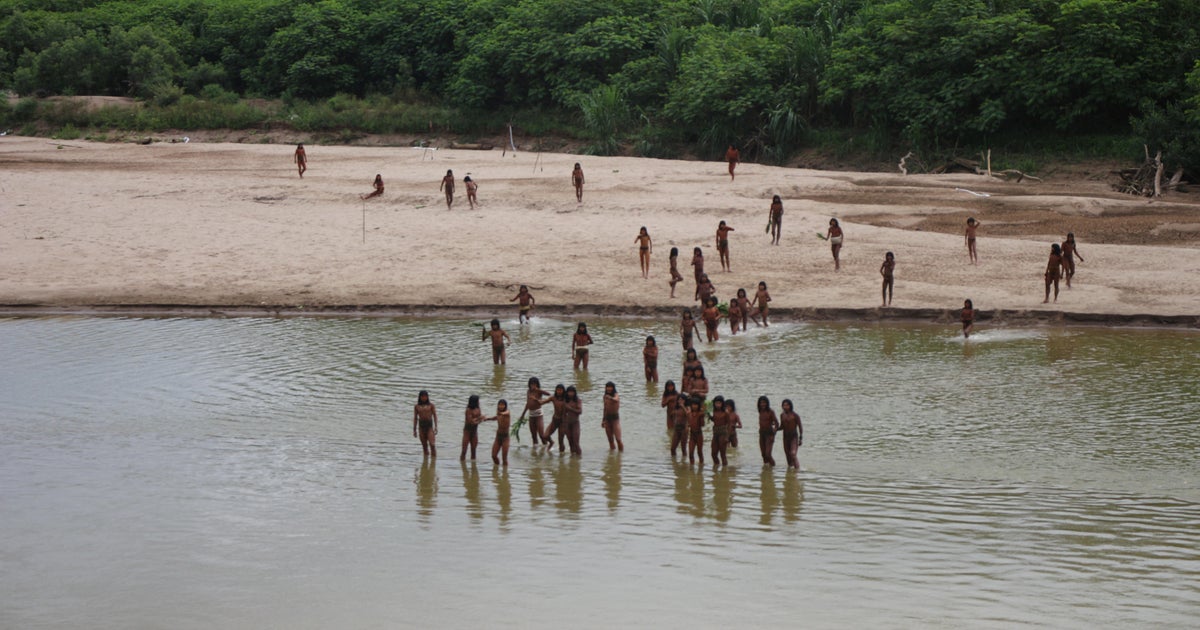Half of uncontacted Indigenous tribes “could be wiped out” in 10 years, report says. Here’s what to know.