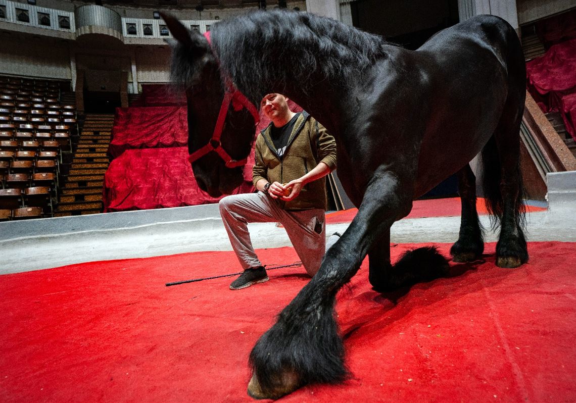 Susan Schulman: Despite the missles, the Show Must Go On