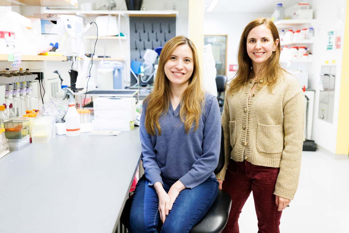 Salamanders can regrow limbs. Could humans someday? — Harvard Gazette