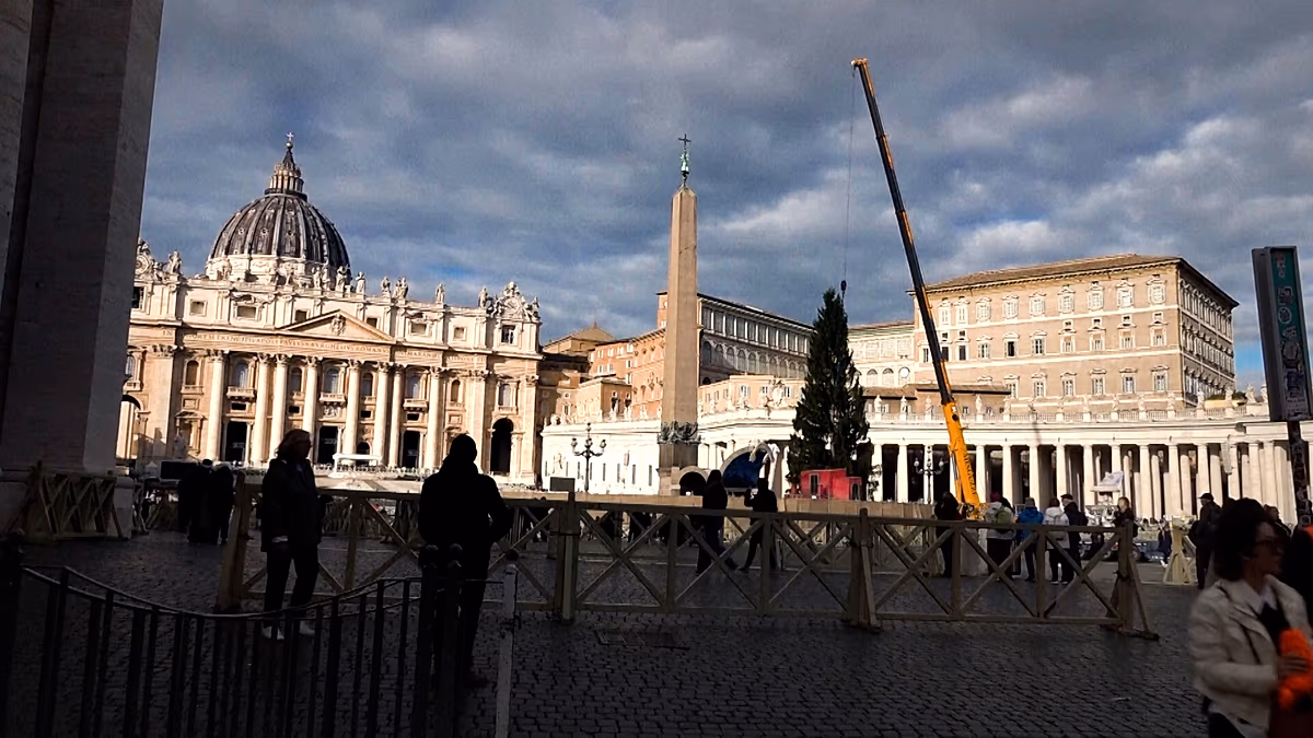 Video. 27-metre Norway spruce arrives at the Vatican for Christmas