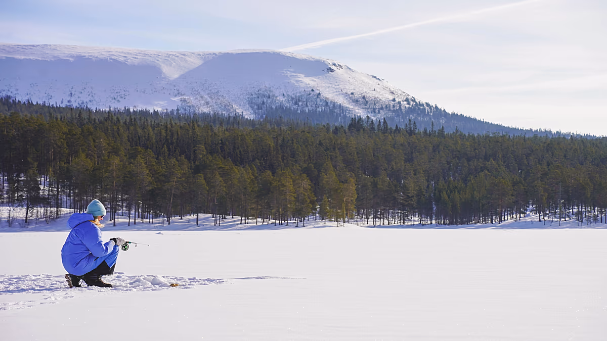 Dark skies and empty itineraries: Why Sweden wants travellers to embrace ‘boredom’