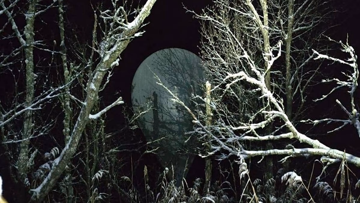 Lithuania may close Belarus border again over cigarette smuggling balloons