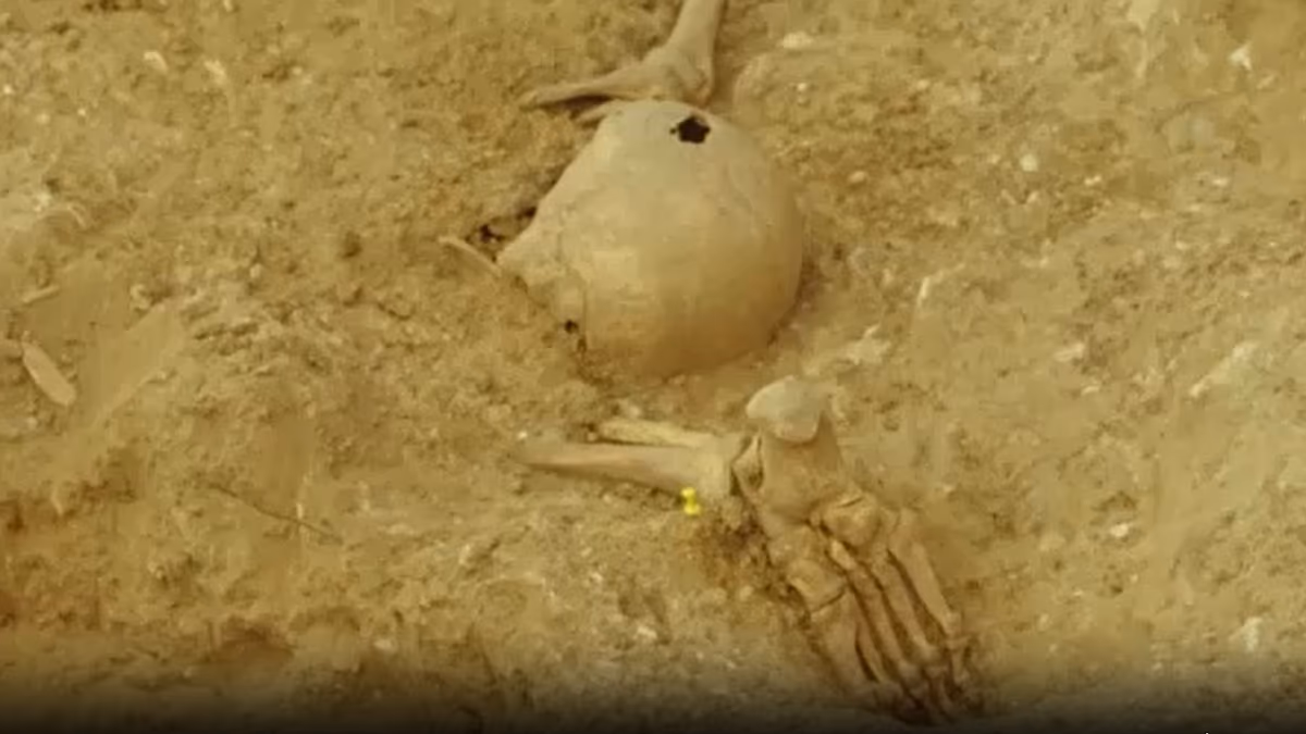 Video. Archaeologists examine Franco-era mass graves for possible identifications