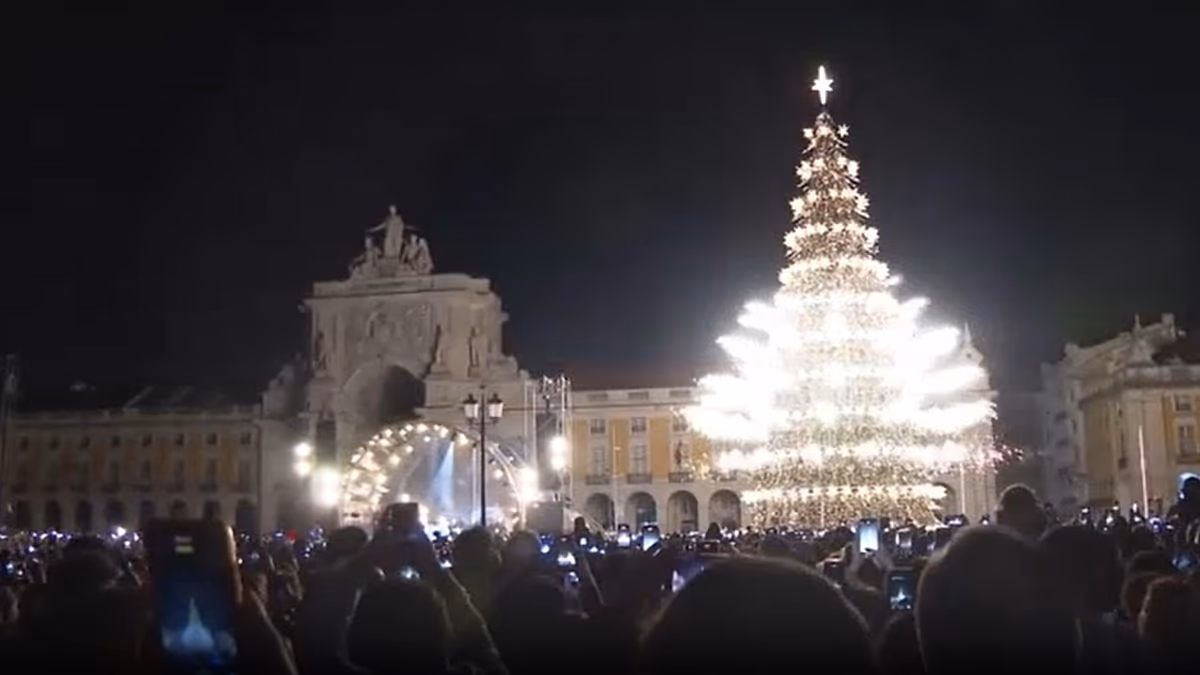 Video. Lisbon switches into festive season with giant tree and fireworks